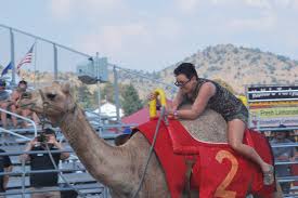 And here we are 56 years later and still living up to the legend. Camel Racing In Virginia City Munchie Musings