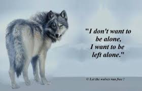 I Don T Want Wolf Quotes Lone Wolf Quotes Warrior Quotes