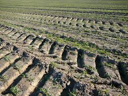 Op grond van verschillen tussen meetresultaten en modelberekeningen sprak staatssecretaris dijksma onlangs het vermoeden uit dat mestfraude een rol speelt bij de hoge concentraties van nitraat in het. Vallei Veluwe Mestfraude