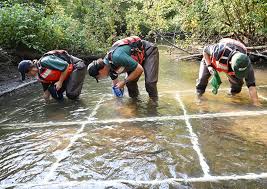 $1 million mussel restoration project underway in Clinton River