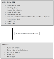 Image result for Lung Function Questionnaire