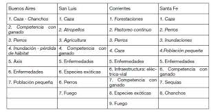 Image result for Rhytachne subgibbosa