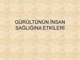 Gurultunun Insan Sagligina Etkileri Tip Fakultesi Tip Insan