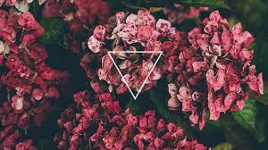 Flowers Triangle Desktop Wallpaper Background Tumblr Hipster Pink Nature Sprin Tumblr Flower Background Wallpaper Tumblr Aesthetic Tumblr Backgrounds
