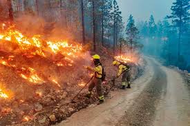 Wij zijn een adviesbureau gericht op brandveiligheid. Declarado Un Conato De Incendio En El Municipio De Candelaria Canarias Te Quiero