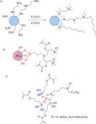 Antibacterial Quaternary Ammonium Compounds In Dental Materials A Systematic Review Sciencedirect