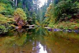 Marked by steep canyons and dense woods north of klamath, this park contains 15 miles of. Things To Do