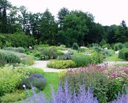 In fünf gewächshäusern entfalten vor allem. Reisetipps Berlin Botanischer Garten Berlin Travelcircus Urlaubsziele