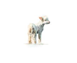 Lamb No 1 Art Print Baby Animal Painting Lamb Watercolor Etsy In 2021 Baby Animal Painting Farm Animal Painting Animal Paintings