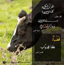 Pin By Essam Sayed Mohamed On كلمة فى صورة Poster Movie Posters Quran