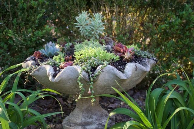 Bird bath planter