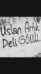 Uslan Artik Deli Gonul Yazar Sozleri Duvar Sozleri Yazar
