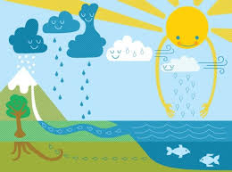 The Water Cycle National Geographic Kids