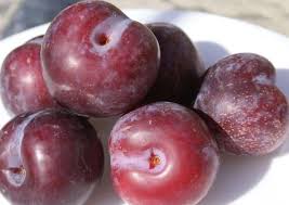 Check spelling or type a new query. Types Of Plums And Varieties Buzzrecipes