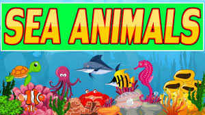I loved drawing the alphabetimals, and now i'd like to share some of the drawing tips and tricks i used to make them come to life. Awesome Sea Animals For Kids Water Animals Name List Preschool Kid2teentv Youtube