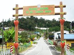 Antaranya homestay di kampung taman sedia. Tempat Menarik Di Cameron Highland 2021 Aktiviti Best