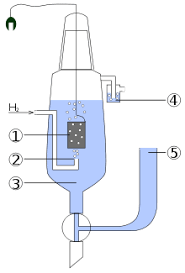Standard Hydrogen Electrode Physical Chemistry Chemistry Electrodes