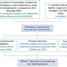 Flow Chart To Show Study Structure To Formulate The Word