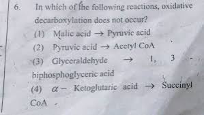 Krebs Cycle Overview