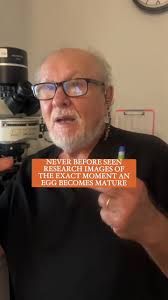 🔬✨ Never before see research images with Dr. David Albertini!  Groundbreaking research images capturing the exact moment a mouse egg  reaches maturity. These stunning visuals not only showcase the ...