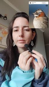 Aprendiste algo?? Comenta qué especie quieres conocer 👇🏽👇🏽🤓,  📸Fotografías:, @jacobo_fauna, @julia.aviles.m , #faunasilvestre #fauna  #faunaparachile #educacionambiental #chile #avesdechile ...