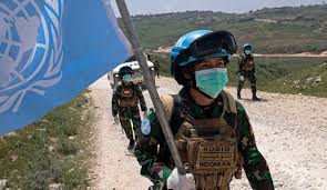 Goji is used for many conditions including diabetes, weight loss. Unifil Indonesians Peacekeepers Help Maintain Stability Along Blue Line United Nations Peacekeeping