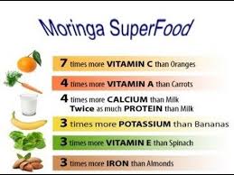 Moringa Oleifera The Miracle Moringa Tree Health Benefits