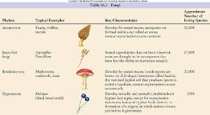 Classification Of Organisms Fungi Microbiology Biology