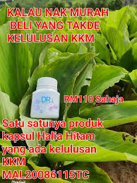 Soal yang admin kumpulkan ini berjumlahs sekitar 55 soal yang bisa adik adik jadikan sebagai latihan. Black Ginger Lulus Kkm Home Facebook