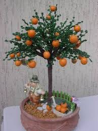 Arancio Bonsai Arboles