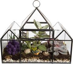 We did not find results for: Amazon Com Deco Glass Geometric Diy Terrarium Succulent Air Plant Castle Shaped For Indoor Gardening Decor Create Your Own Flower Fern Moss Centerpiece Amazing Holiday And Wedding Gift Patio Lawn