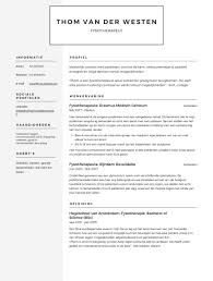Fysiotherapeut Cv Cv Maken Voorbeelden 2022