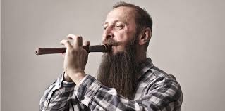 Sie hat auf der oberseite 7 löcher und auf der unterseite ein loch für den daumen. Blockflote Vergleich Testsieger Im Juli 2021