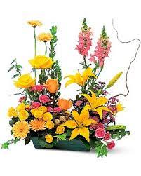 Check spelling or type a new query. Celebrate In Style In New Iberia La A Gallery Of Flowers