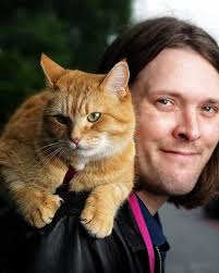 Happy bobcat birthday to !