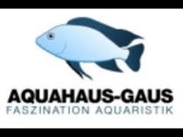 Koppelweg 6 48249 dülmen (hausdülmen). Zu Besuch Bei Aquahaus Gaus Tax Youtube