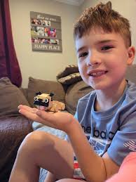 Hidden Mickey scavenger books for Disneyland