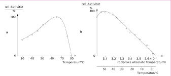 Ohne die enzyme gäbe es kein leben auf der erde. Abb 2 9 A Temperaturabhangigkeit Der Katalytischen Aktivitat Eines Download Scientific Diagram