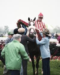 Image result for Light Harvest Gold 1983 Fedders