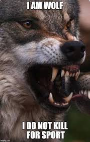 Custom Meme By Lupus Sanguinem Wolf Dog Wolf Pictures Wolf Teeth