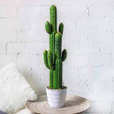 Fake Saguaro Cactus Desert Plant Artificial Plants Decor Desert Plants Cactus