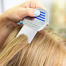 1) put the brush in a ziploc bag for a few days and wait for any possible lice to die 2) run the brush through your dishwasher on the top rack Natural Tips Tricks To Get Rid Of Lice Cute Girls Hairstyles