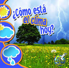 Últimas noticias en deportes, economía, política y tecnología. Como Esta El Clima Hoy What S The Weather Like Today Storad Conrad J Amazon Com Mx Libros