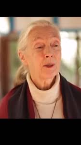 “You cannot share your life with a dog and not know perfectly well that  animals have personalities, minds and feelings.”