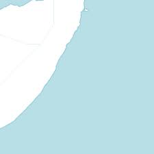 Image result for Megalochlamys revoluta