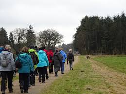 Das wegenetz im teufelsmoor ist für radler und wanderer gut ausgeschildert, voran geht es durch eine außergewöhnlich reizvolle landschaft. 03 Wanderung Durch Das Teufelsmoor 2017 Wanderungen