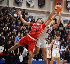 Image result for Aurora White 2010 HS