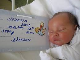 Fotogalerie: Miminka jižní Morava 51. týden roku 2022