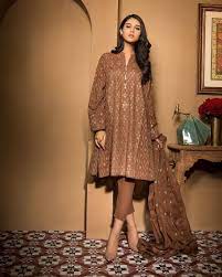 130 Pakistani Dresses ideas | pakistani dresses, dresses, pakistani fashion