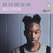 Tea Tree Oil Uses 70 Ways To Benefit From Tea Tree Oil Tea Tree Oil Uses Tea Tree Oil For Acne Nose Piercing